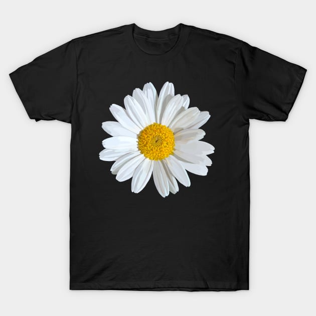 Marguerite on black T-Shirt by A_using_colors